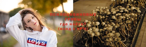 круглые Вязьма
