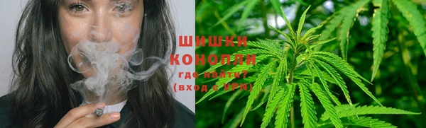 круглые Вязьма