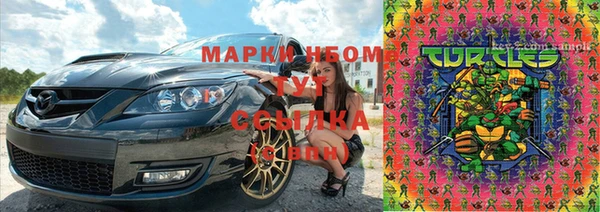 прущие грибы Верхний Тагил