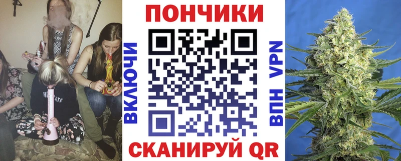 Купить где Монино Конопля гибрид